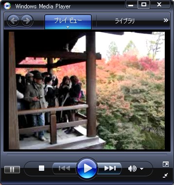 東福寺 紅葉その1