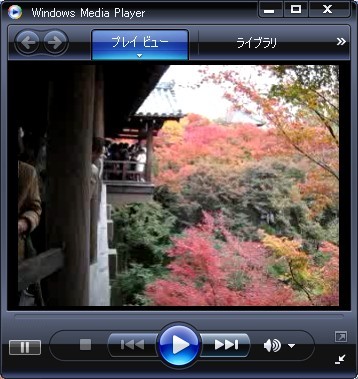 東福寺 紅葉その2