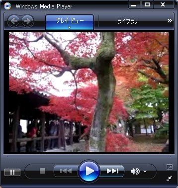 東福寺 紅葉その3