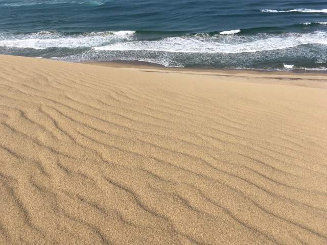 ���̉摜���N���b�N����Ε���̓��悪�݂����I