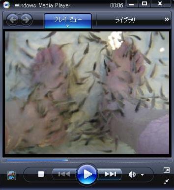 �c���D�L�b�X�t�B�b�V�����������������I�y������B