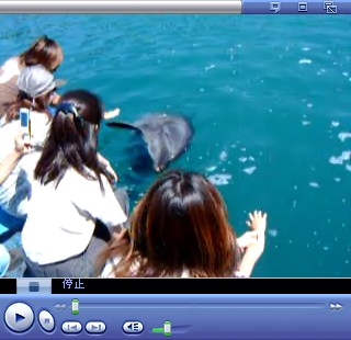 �C���J�N�ƈ���I